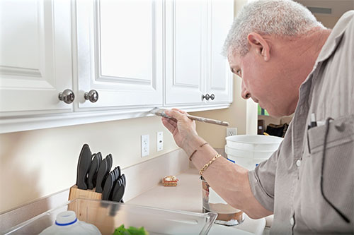 Kitchen Cabinet Painting